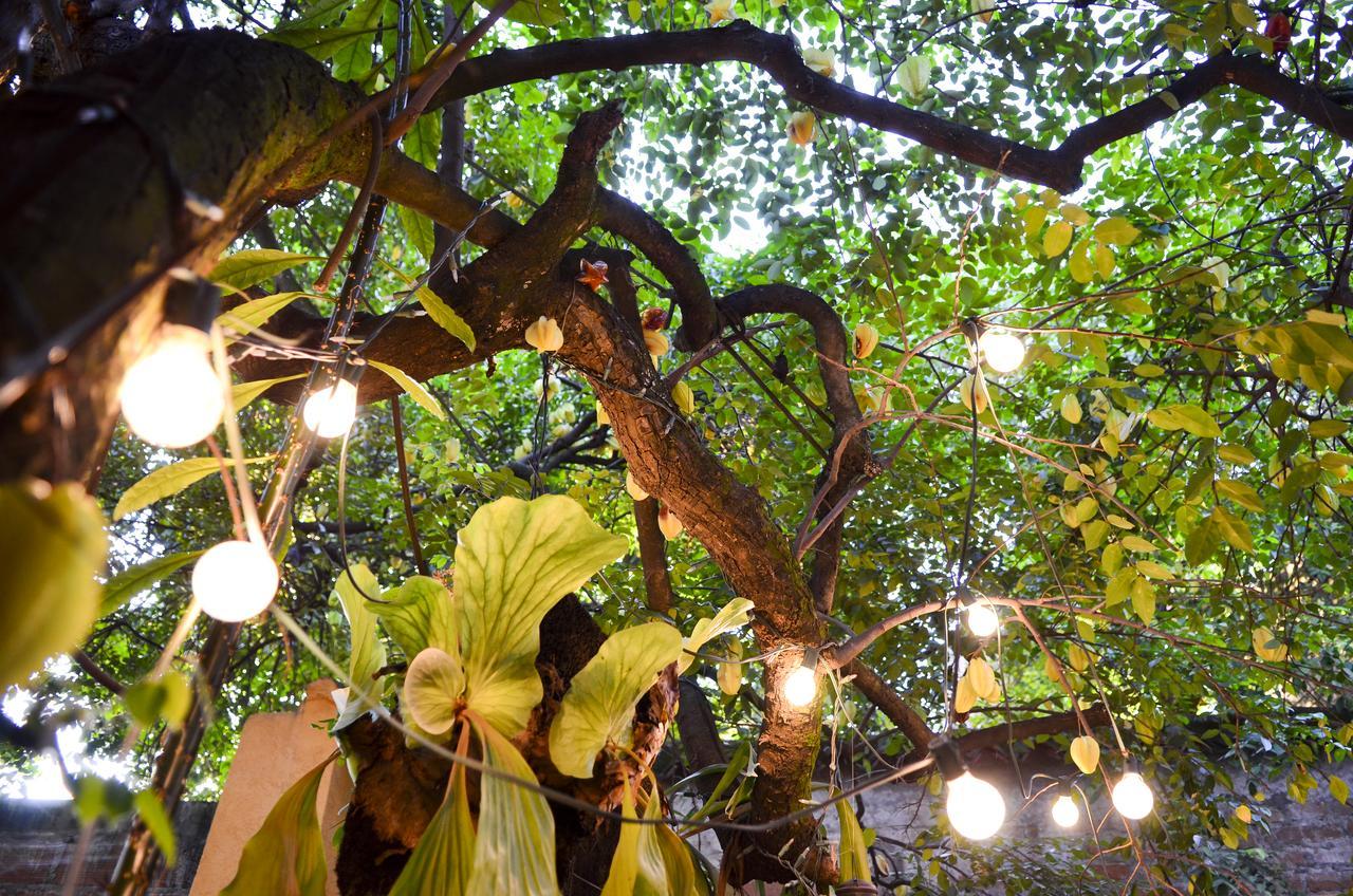 Hotel Magic Garden House Cali Zewnętrze zdjęcie